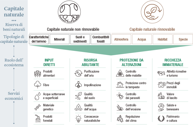 Nat_Cap_non-renewable-renewable_IT.png