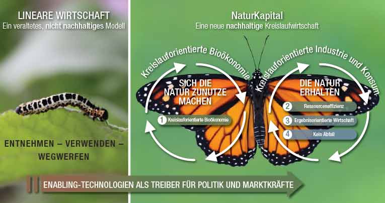 NatCap-Whitepaper-Insights-metamorphosis_DE-V2.jpg