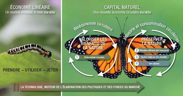 NatCap-Whitepaper-Insights-metamorphosis_FR-V2.jpg