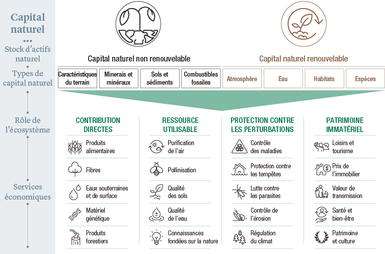 Nat_Cap_non-renewable-renewable_FR.png