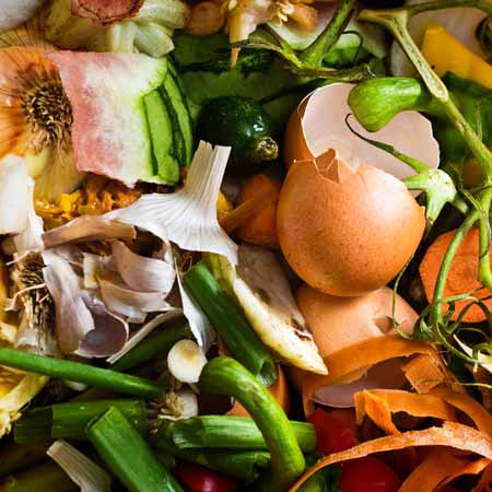Servirsi delle forze della natura per ridurre gli sprechi alimentari
