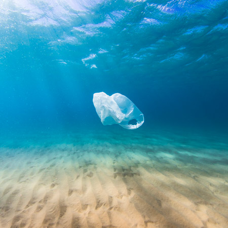 Plastics: pollution, policy and investment potential