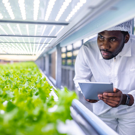 Investing in the future of food