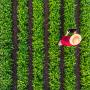 How is precision agriculture transforming food systems?